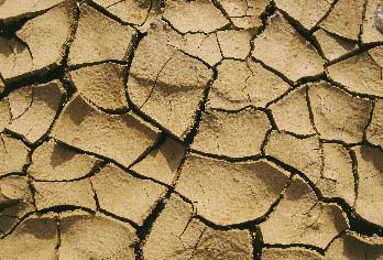 土体承载力不足