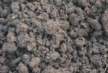 土体结构退化或压实不足